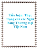 Tiểu luận: Thực trạng của các Ngân hàng Thương mại Việt Nam