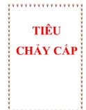 TIÊU CHẢY CẤP