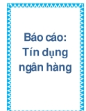 Báo cáo "Tín dụng ngân hàng"