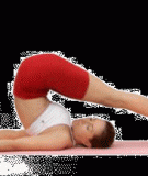 ASANA – TƯ THẾ YOGA