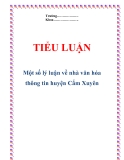 Tiểu luận: "Một số lý luận về nhà văn hóa thông tin huyện Cẩm Xuyên"