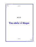 Tiểu luận: Tìm nhiểu về Biogas