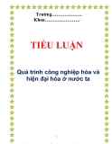 Tiểu luận:  Quá trình công nghiệp hóa và hiện đại hóa ở nước ta