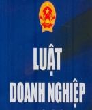 Câu hỏi Luật Doanh nghiệp