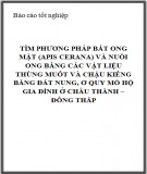 Tìm phương pháp bắt ong mật (Apis cerana) và nuôi ong bằng các vật liệu thùng muốt và chậu kiểng bằng đất nung, ở quy mô hộ gia đình ở Châu Thành – Đồng Tháp