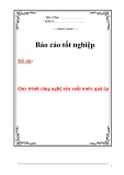 Báo cáo thực tập:  "Quy trình công nghệ sản xuất nước quả ép"