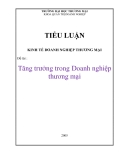 Tiểu luận:  Tăng trưởng kinh tế trong doanh nghiệp thương mại