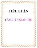 Tiểu luận: Tâm lý quản trị