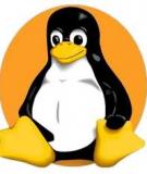 Quản trị hệ điều hành Linux