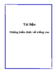 GIÁO TRÌNH KIẾN THỨC TRỒNG RAU