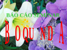 Báo cáo seminar bảo quản thực phẩm dứa