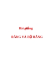 Bài giảng Răng và bộ răng mục