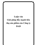 Đề tài “Giải pháp đẩy mạnh tiêu thụ sản phẩm của Công ty DAD ”