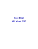 MS Word 2007