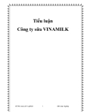 Tiểu luận: Công ty sữa VINAMILK