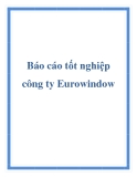 Báo cáo tốt nghiệp công ty Eurowindow