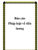 Báo cáo: " Pháp luật về tiền lương"