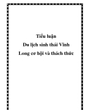 Tiểu luận: “Du lịch sinh thái Vĩnh Long cơ hội và thách thức”