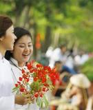 Bộ đề ôn thi tuyển sinh đại học môn toán năm 2011 - Bộ đề số 8