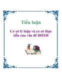 Tiểu luận: Cơ sở lý luận và cơ sở thực tiễn của vấn đề BHXH