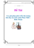 Các giải pháp phát triển thị trường tiêu thụ của nước mắm Phan Thiết – Bình Thuận