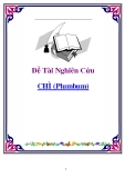 Tiẻu luận: Chì ( Plumbum )