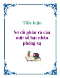 Tiểu luận: Sơ đồ phân rã của một số hạt nhân phóng xạ