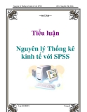 Tiểu luận: Nguyên lý Thống kê kinh tế với SPSS