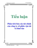 Tiểu luận: Phân tích báo cáo tài chính của công ty cổ phần vận tải và thuê tàu