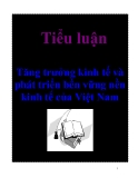 Tiểu luận: Tăng trưởng kinh tế và phát triển bền vững nền kinh tế của Việt Nam