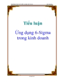 Tiểu luận: Ứng dụng 6-Sigma trong kinh doanh