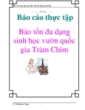 Luận văn đề tài : Bảo tồn đa dạng sinh học vườn quốc gia Tràm Chim