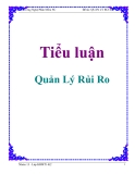 Tiểu luận về: Quản Lý Rủi Ro