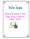 Tiểu luận: Tình hình kinh tế Việt Nam trong 3 năm từ 2008 - 2010