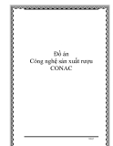 Đồ án: CÔng nghệ sản xuất rượu CONAC