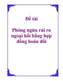 Đề tài: Phòng ngừa rủi ro ngoại hối bằng hợp đồng hoán đổi