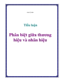 Tiểu luận: Phân biệt giữa thương hiệu và nhãn hiệu