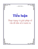 Tiểu luận: Thực trạng và giải pháp về vấn đề dân số ở nước ta