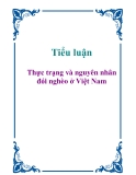 Tiểu luận: Thực trạng và nguyên nhân đói nghèo ở Việt Nam