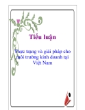 Tiểu luận: Thực trạng và giải pháp cho môi trường kinh doanh tại Việt Nam