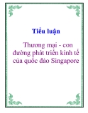 Tiểu luận: Thương mại - con đường phát triển kinh tế của quốc đảo Singapore