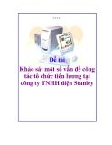 Luận văn: Khảo sát một số vấn đề công tác tổ chức tiền lương tại công ty TNHH điện Stanley