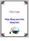 Tiểu luận: Hợp đồng mua bán hàng hóa