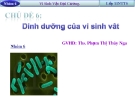 Báo cáo tiểu luận : Dinh dưỡng của vi sinh vật