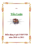 Tiểu luận: Biến động tỉ giá USD/VND năm 2010 và 2011