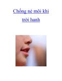 Chống nẻ môi khi trời hanh