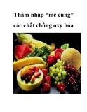 Thâm nhập “mê cung” các chất chống oxy hóa