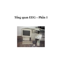 Tổng quan EEG – Phần 1 