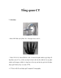 Tổng quan CT 