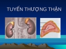 Tuyến thượng thận